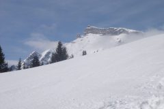 DSC09031