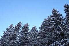 DSC00041